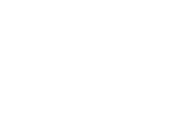 Wildcat Finance Smart Contract Audit